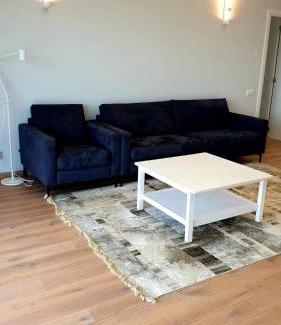 Druskininkai Apartment | IG House