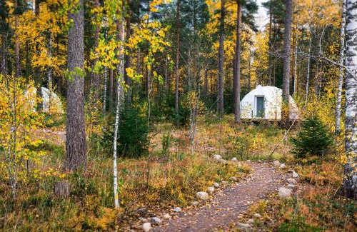 Imatra Other | Igloo Glamping LakeLand Camp