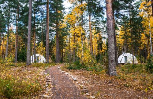 Imatra Other | Igloo Glamping LakeLand Camp