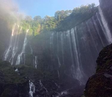 Tamansuruh House | Ijen Blue Fire