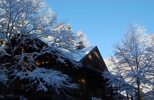 Iida Cabin | Il Bosco
