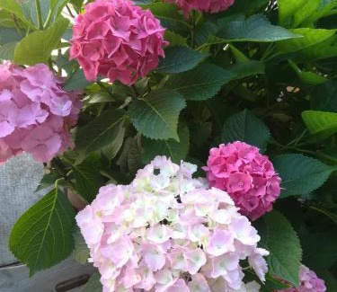 Pessione Bed & Breakfast | Il Cortile Della Nonna