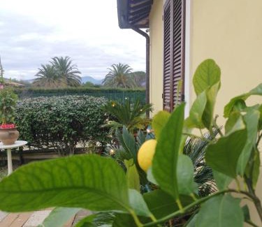 Foligno Bed & Breakfast | Il Gelsomino