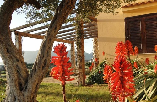 Favignana House | Il Giardino delle Aloe