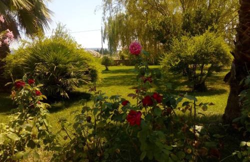 Olmedo Apartment | Il Giardino delle Rose A