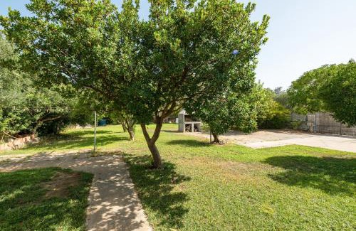 Carbonia House | Il Giardino Di Mango