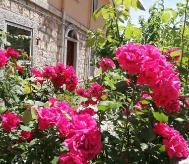 Baunei House | Il Giardino