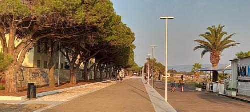 Solarussa House | Il Giardino