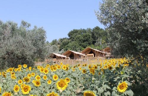 Massignano Cabin | Il Girasole Country Village