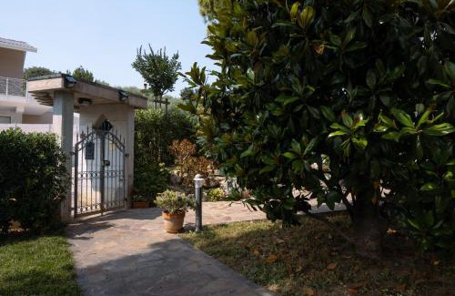 Castelfidardo Apartment | Il Melograno