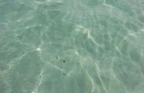 San Vito Lo Capo Apartment | Il Mulino
