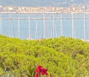 Fezzano Apartment | Il Nido d'amare