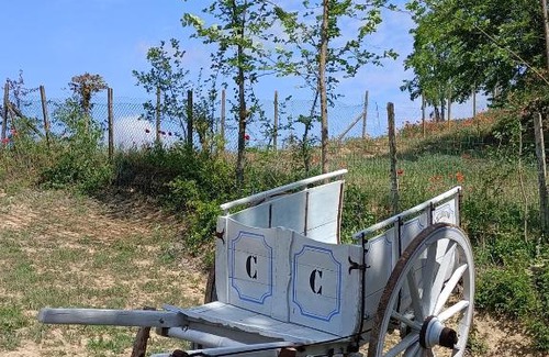 Portacomaro Other | Il Nido nel Bosco