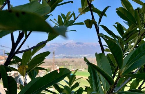 Crocetta del Montello House | Il Re Della Cantina-Due Appartamenti tra le colline UNESCO con una e due camere