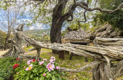Baunei House | Il Rifugio