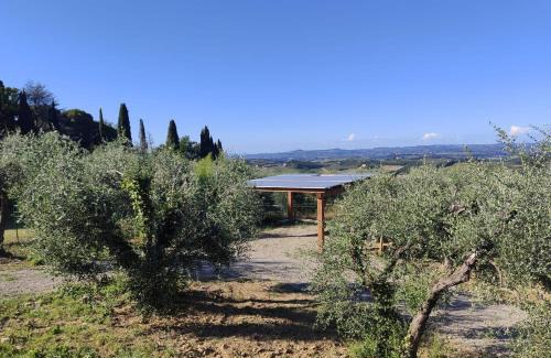 San Gimignano Villa | Il Sogno di Andrea