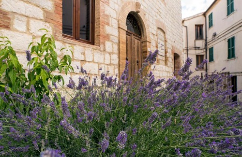 Cabernardi House | il sogno di Tino