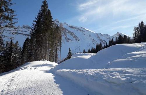 Cibiana di Cadore Apartment | Il Terrazzo Sulle Dolomiti
