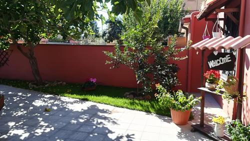 Isola Sacra Bed & Breakfast | Il Viandante