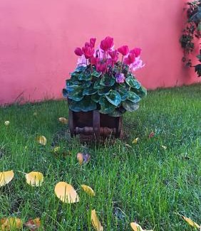 Isola Sacra Bed & Breakfast | Il Viandante