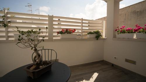 Polignano a Mare Bed & Breakfast | Il Vicoletto
