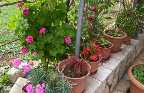 Himare Apartment | Ilias family rooms