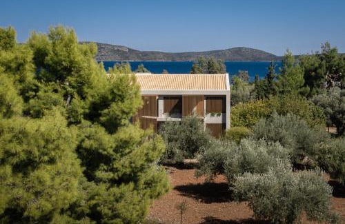 Steni Vala Apartment | Ilya Botanic Suites
