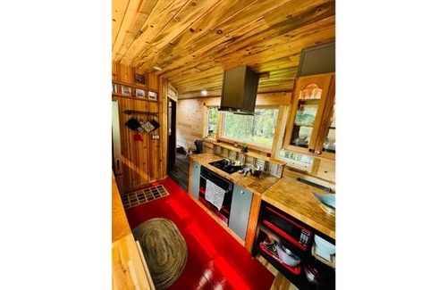 Stevenson House | Iman Treetop Loft