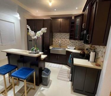 Barbican Apartment | Immaculate 1 bedroom-Liguanea