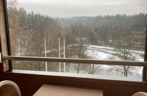 Ronshausen Condo | Immensee I Apartment with lake view surrounded by forest