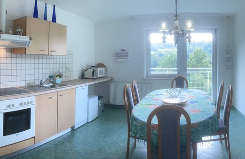 Ziebach Apartment | Immensee II Apartment with lake view and located at the forest edge