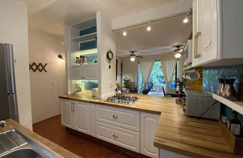 Puerto Vallarta Condo | Immerse yourself into Nature in the Heart of Puerto Vallarta