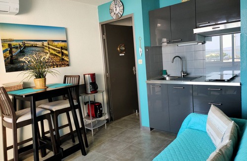 Frontignan Apartment | IMPREGNABLE VIEW ON THE PORT OF PLAISANCE - SEA 50 M