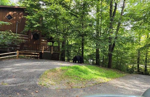 Townsend Cabin | Impressive Log Cabin Lodging for making a Smoky Mountain Memory!