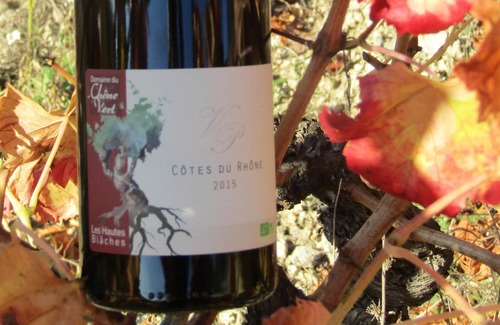 Mirabel-aux-Baronnies Cottage | IN A PROVENCAL DROME ON AN ORGANIC DOMAIN - VINES AND OLIVE TREES