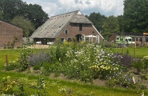 Wapse Bed & Breakfast | In de Dikke Bertha