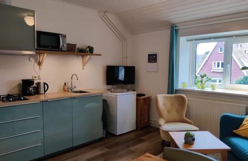 Bergen House | In het Centrum