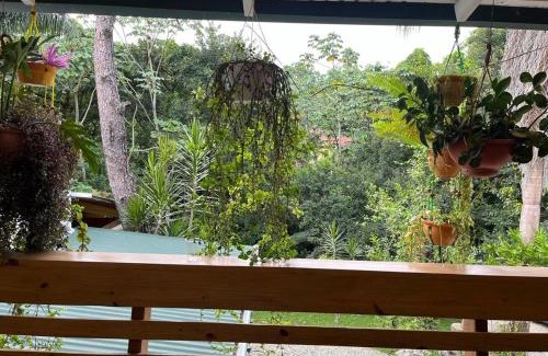 Paso Bajito Ski Chalet | In Jarabacoa Villa Candita