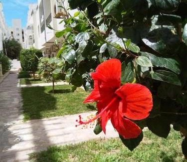 Chott Mariem Apartment | In Paradise Appart
