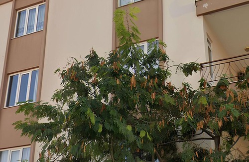 Kepez Apartment | in the city center, 10 minutes from the university and 20 minutes from the beach