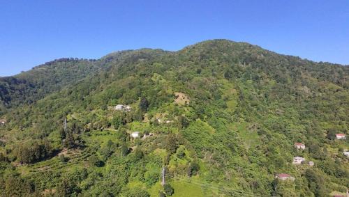 Khelvachauri House | In the Forest