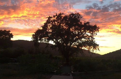 Oak Knoll House | In the heart of Napa Valley…Fabulous Property, Fabulous Location!