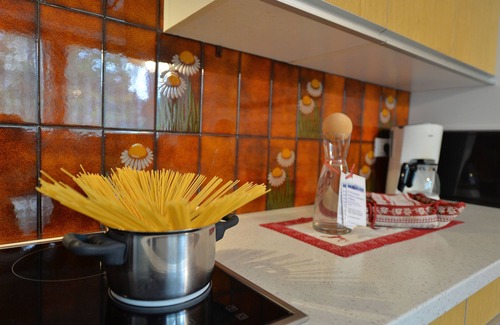Ortisei Apartment | In the hearth of the Dolomites, 100 m from the first ski slopes, clime house