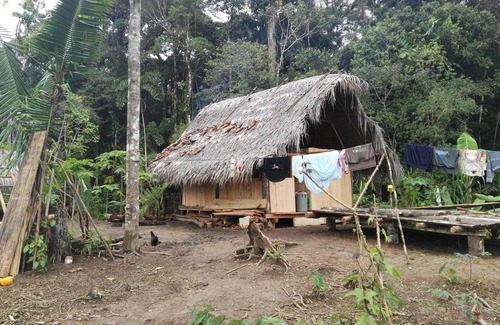 Ramonurcu Cabin | In The Jungle Cabins, Tawankar community