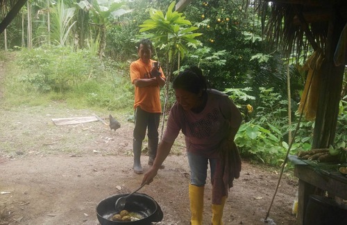 Ramonurcu Cabin | In The Jungle Cabins, Tawankar community