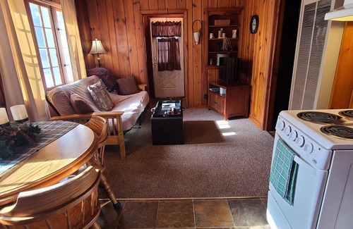 Newberry House | In-town; trail 100' away; playground across street; dog friendly w/fee.