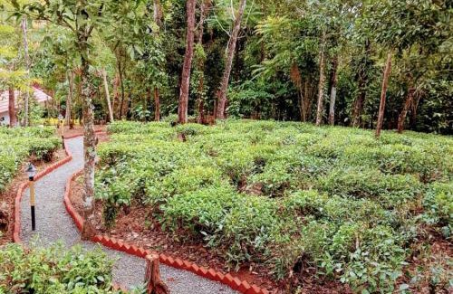 Elappara House | Inchimala Holiday Inn