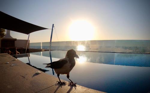 Agia Paraskevi Villa | Incognito Beach Villa Santorini
