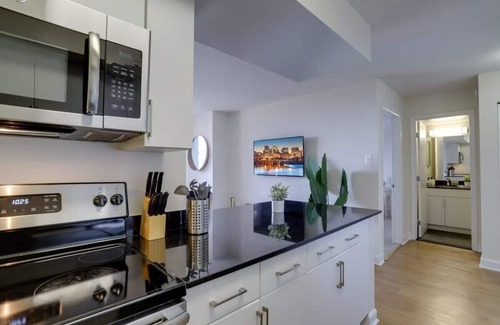 Pentagon City Apartment | Incredible Apartment with Rooftop in Pentagon City