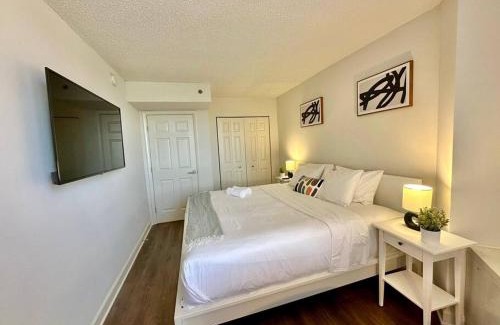 Pentagon City Apartment | Incredible Apartment with Rooftop in Pentagon City
